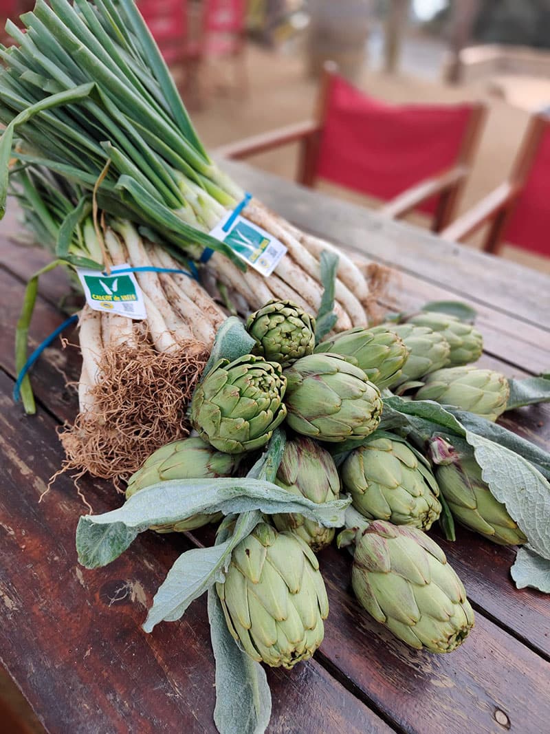 calçotada mataró